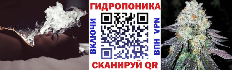 Шишки марихуана семена  Ивангород 